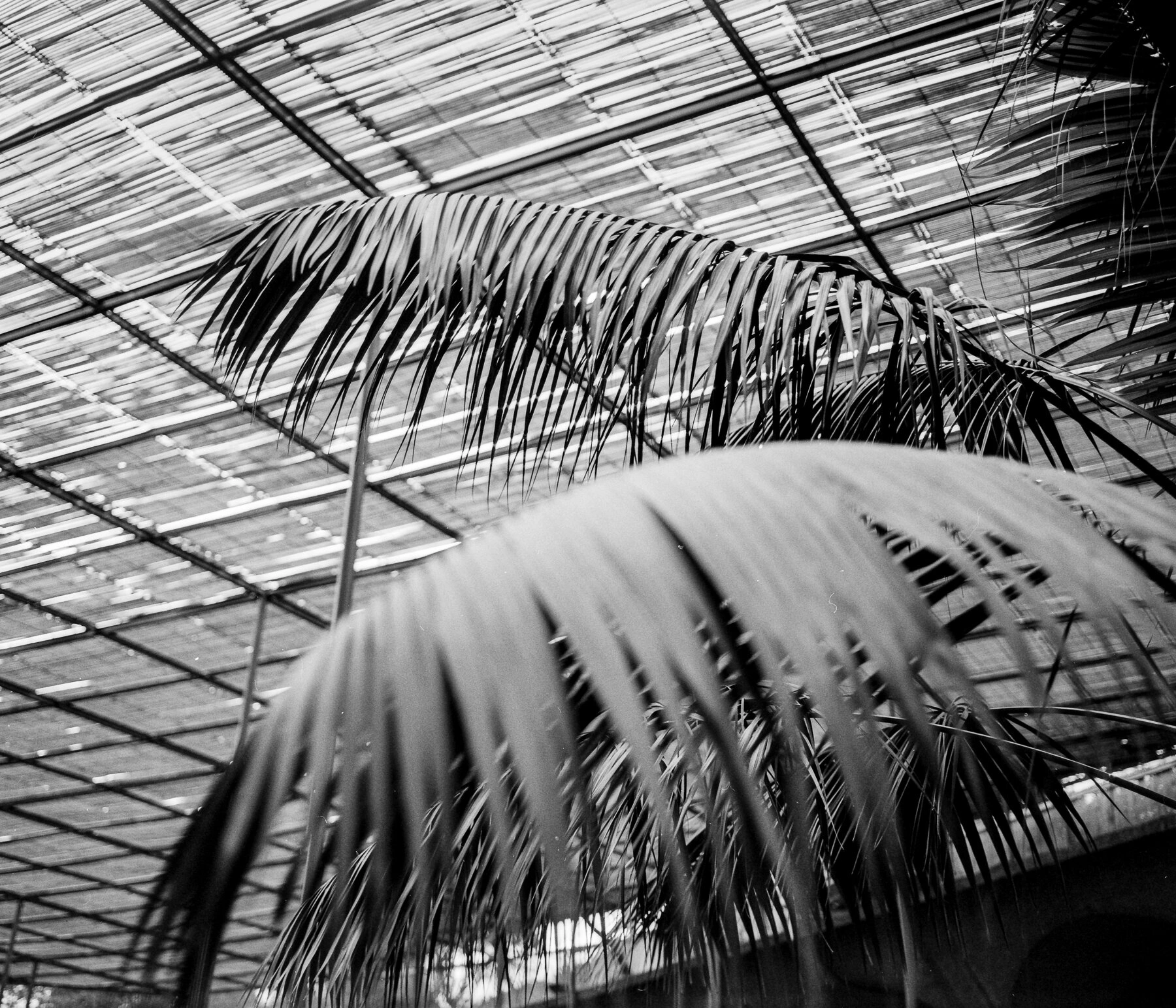 EF01_20191215_0009_1800px_sRGB.jpg