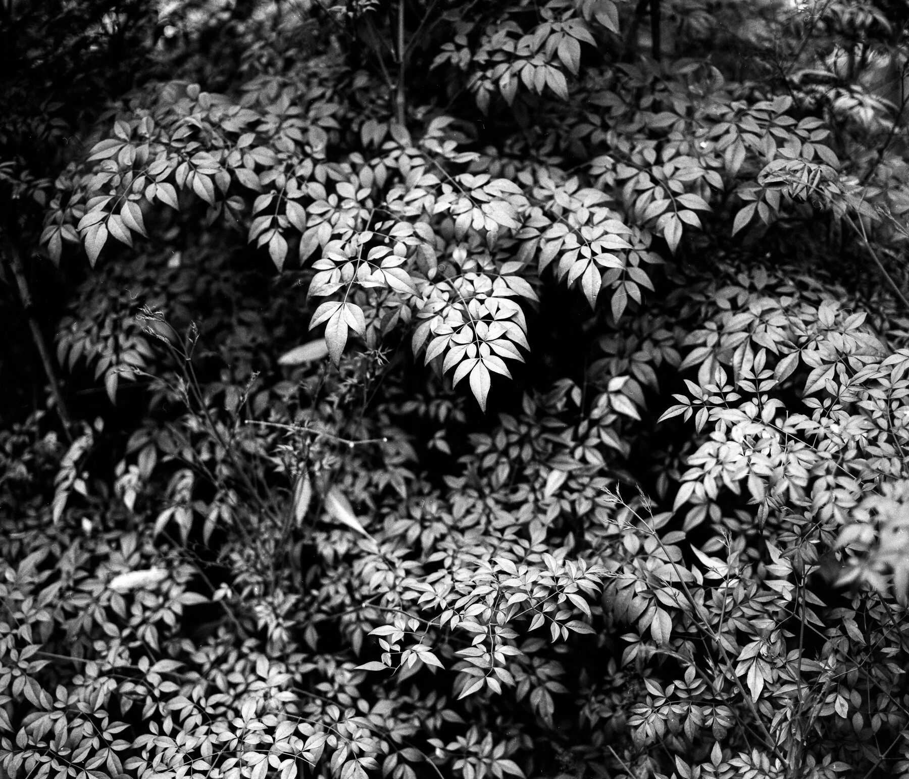 IEF2019005W00001-06_1800px_sRGB.jpg